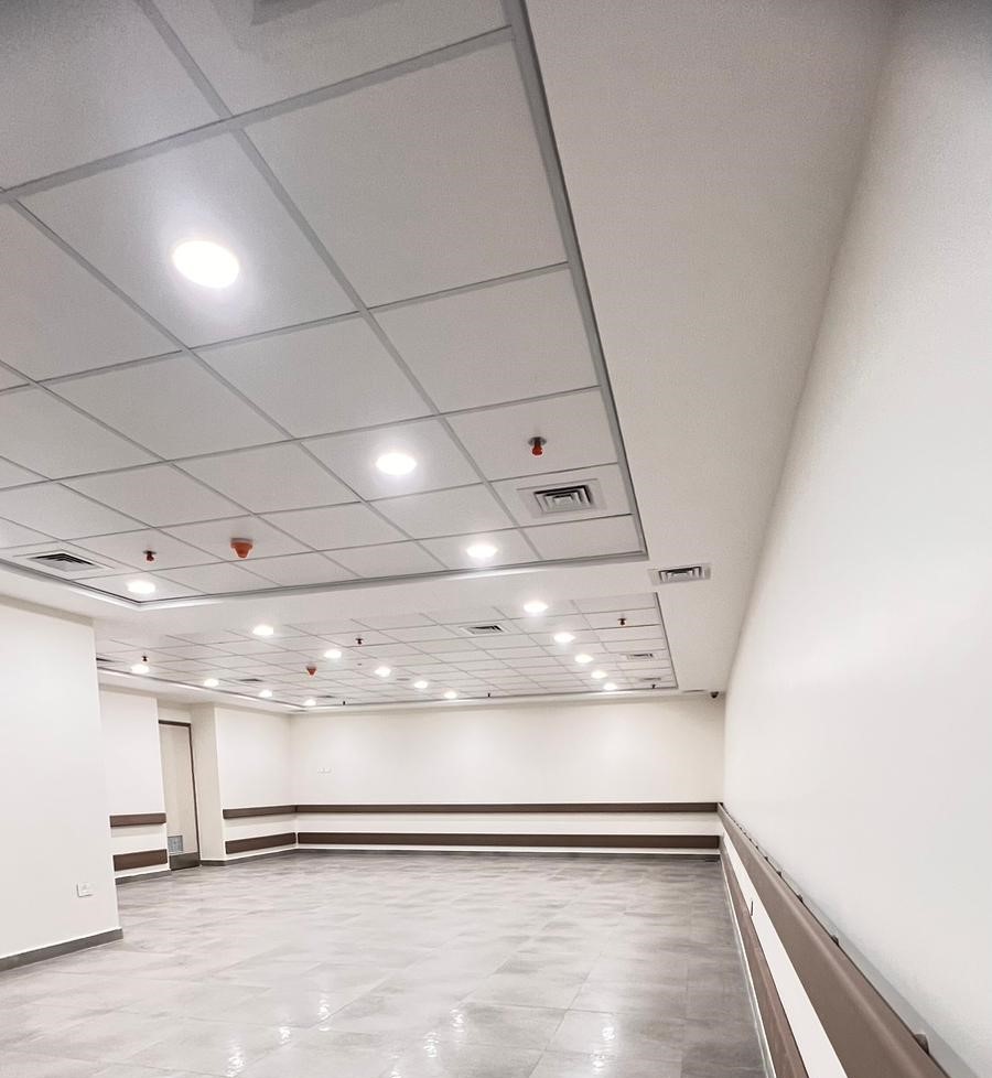 acoustic walls and ceilings